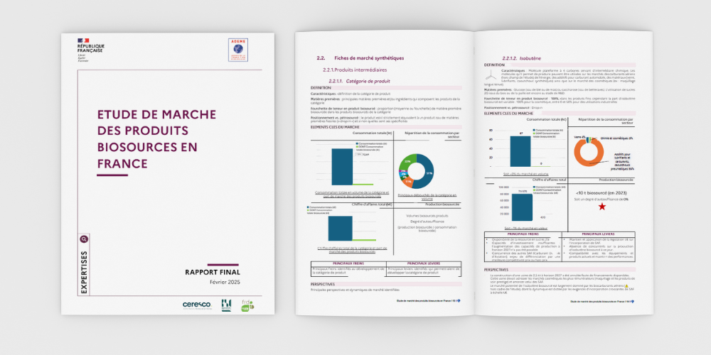 Etude de marché des produits biosourcés