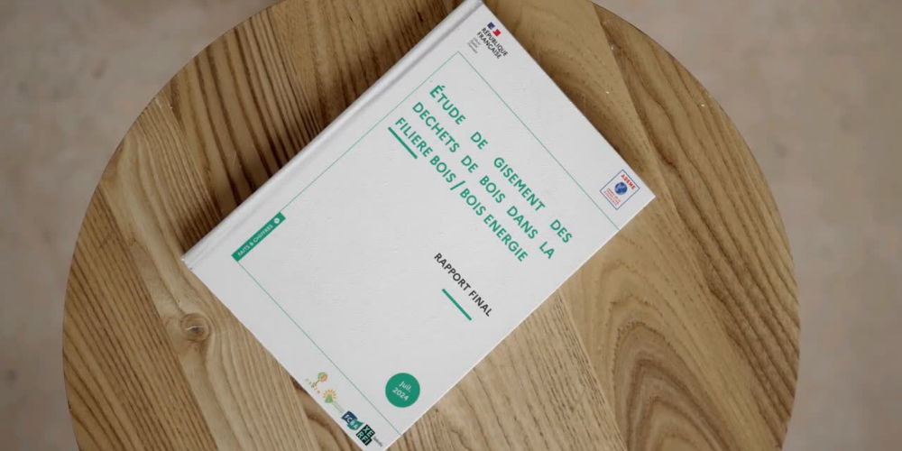 Etude gisement des déchets de bois dans la filiere bois - bois energie - ADEME 2024