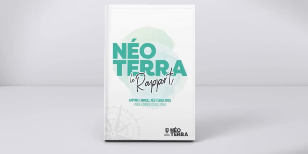 Rapport NEO TERRA 2025